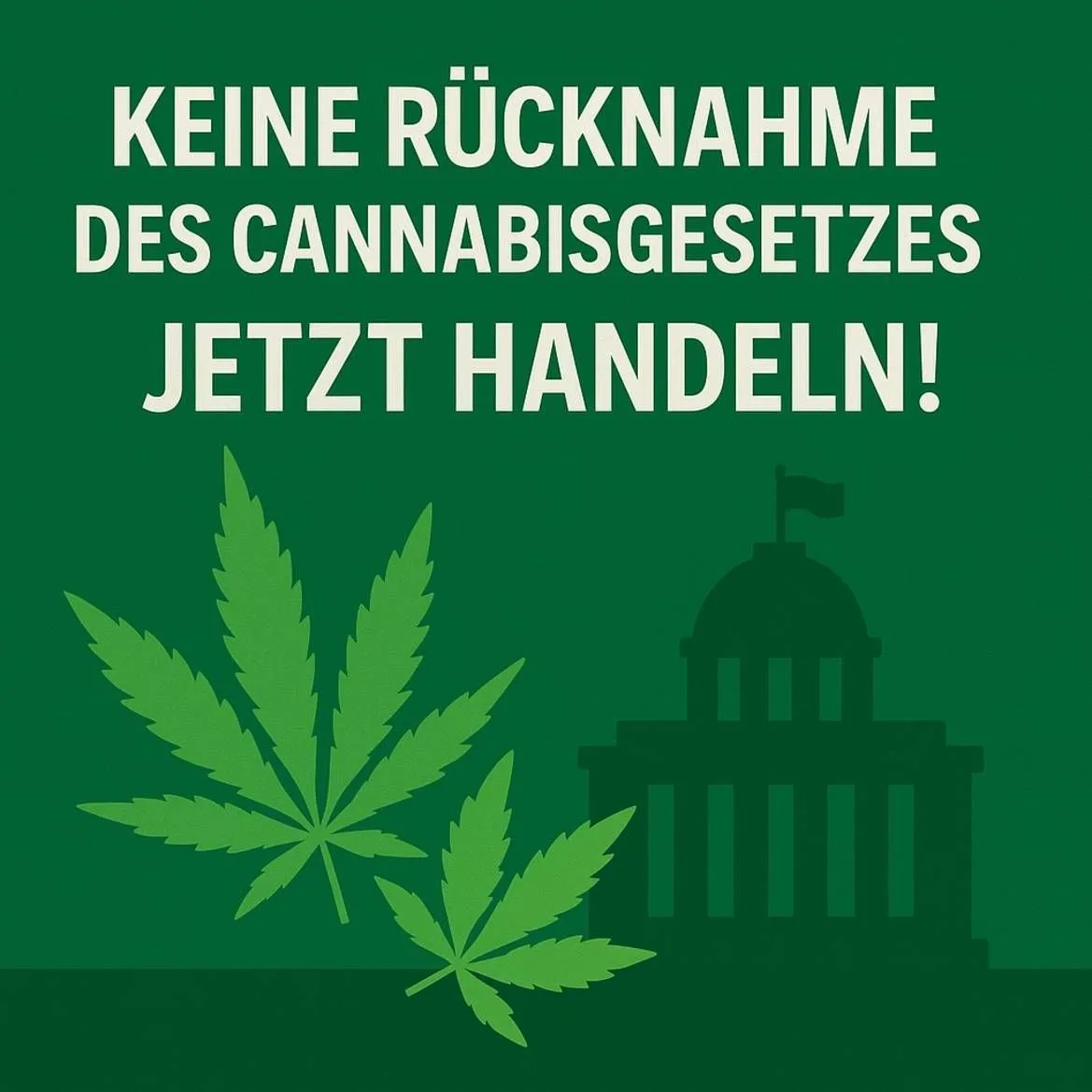 Offener Brief zur geplanten Rücknahme des Cannabisgesetzes (CanG)