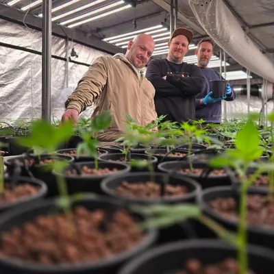 Interview mit dem Herby's Cannabis Social Club Peine e.V. aus Niedersachsen