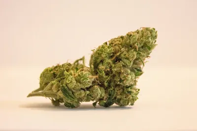 Highflyer: Welche Cannabissorten sind besonders stark
