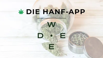 Die Hanf-App und Weed.de: Eine strategische Partnerschaft, die den Cannabis-Markt in Deutschland weiter vorantreiben soll