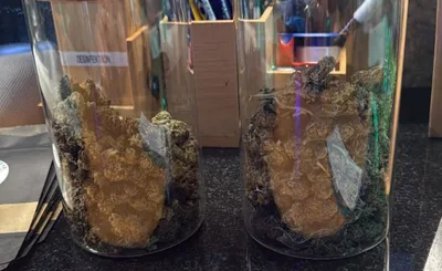 Interview mit dem Cannabis Club Green-Gelato CSC e.V.